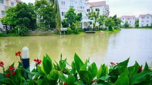 Xây biệt thự có vườn cạnh sông ở Hà Nội
